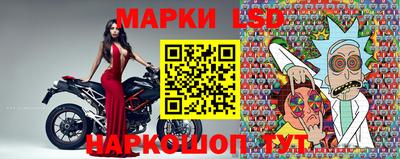 индика Ставрополь