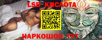 индика Ставрополь