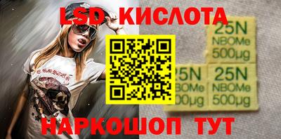 индика Ставрополь