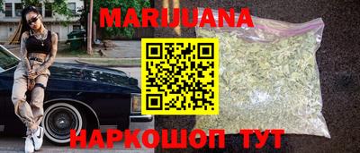 индика Ставрополь