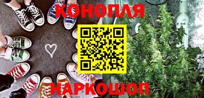 индика Ставрополь