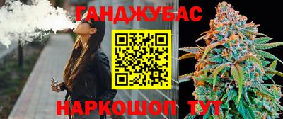 индика Ставрополь