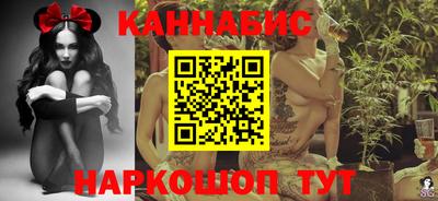 индика Ставрополь