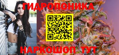 гашик Старая Купавна