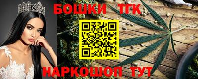 гидра Тара