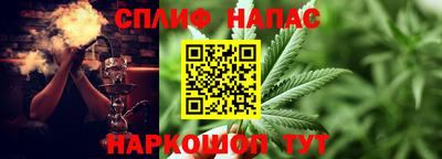 индика Тверь
