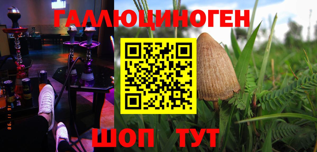 Галлюциногенные грибы прущие грибы  Вход с VPN  Нижнекамск 